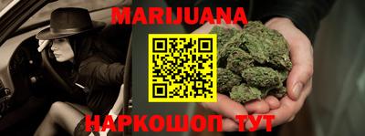 сатива Новодвинск