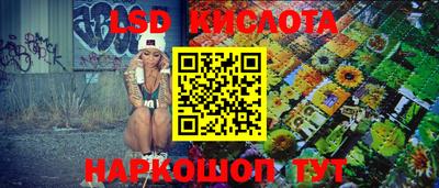 прущие крисы Новокубанск