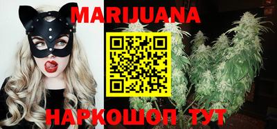 сатива Новодвинск