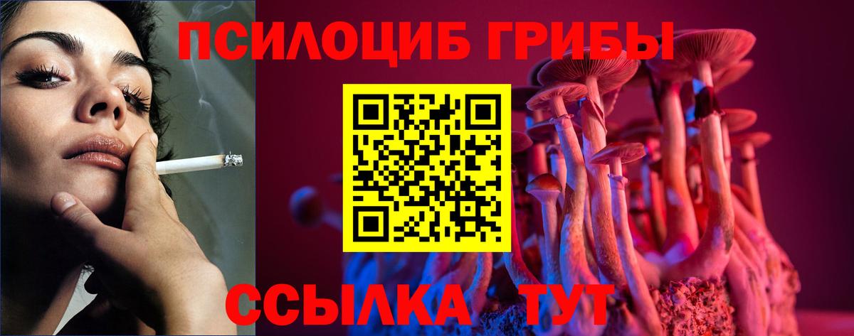 Галлюциногенные грибы GOLDEN TEACHER  Псилоцибиновые грибы Psilocybine cubensis  Вход с VPN  Черногорск 